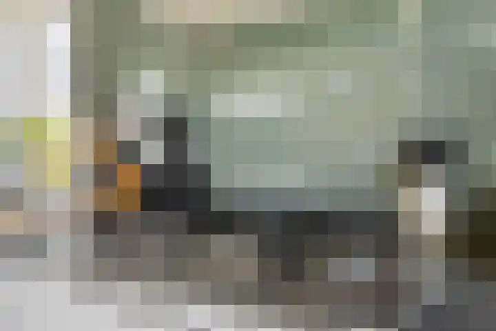 Radboudlaan 13 Bussum thumbnail 17