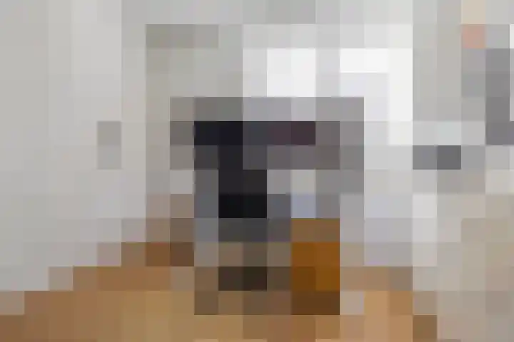 Radboudlaan 13 Bussum thumbnail 19