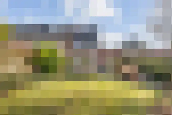 Radboudlaan 13 Bussum thumbnail 25