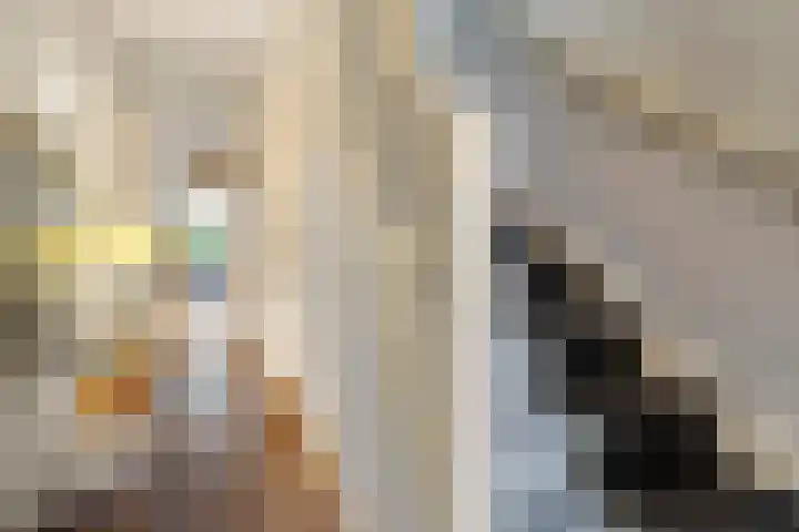 Radboudlaan 13 Bussum thumbnail 28