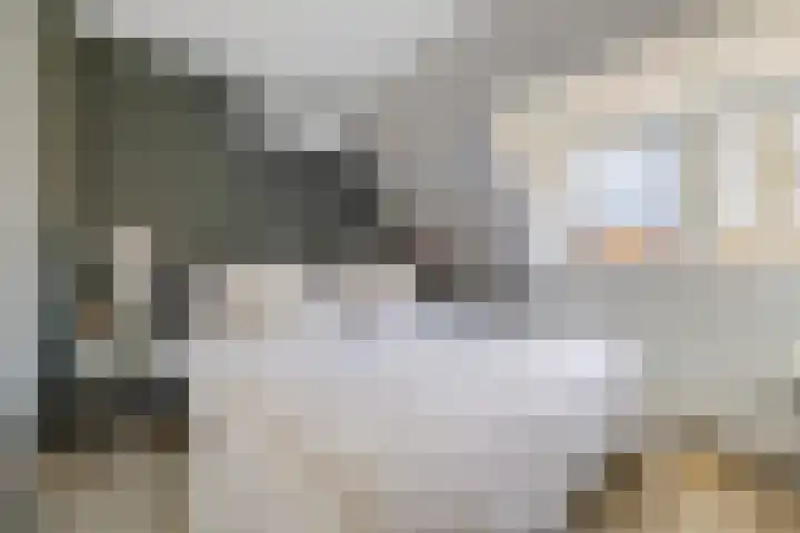 Radboudlaan 13 Bussum thumbnail 29