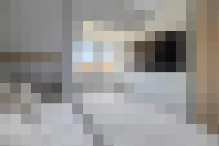 Radboudlaan 13 Bussum thumbnail 30