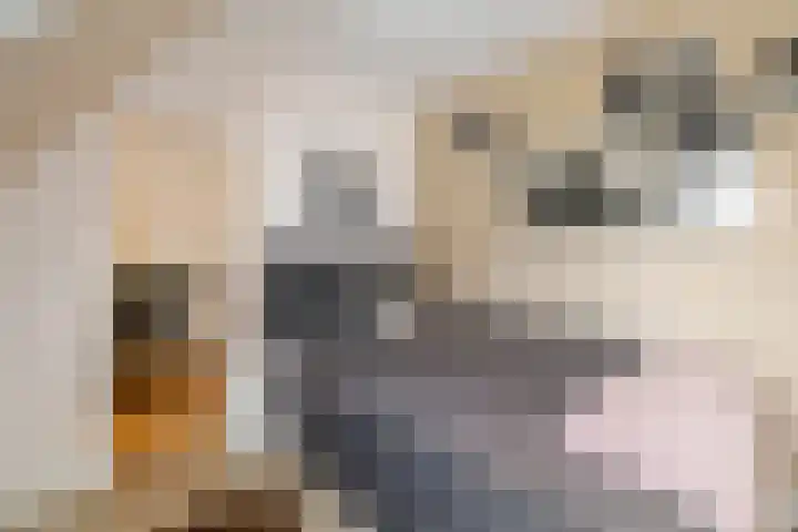 Radboudlaan 13 Bussum thumbnail 34