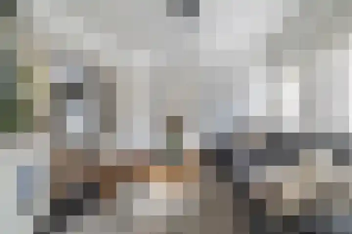 Radboudlaan 13 Bussum thumbnail 7