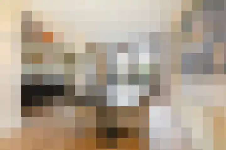 Radboudlaan 7 Bussum thumbnail 10