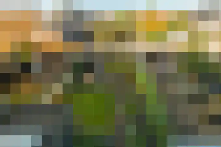 Radboudlaan 7 Bussum thumbnail 30