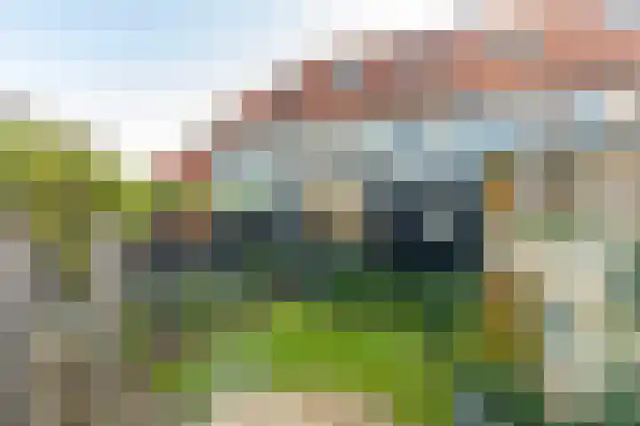 Radboudlaan 7 Bussum thumbnail 32