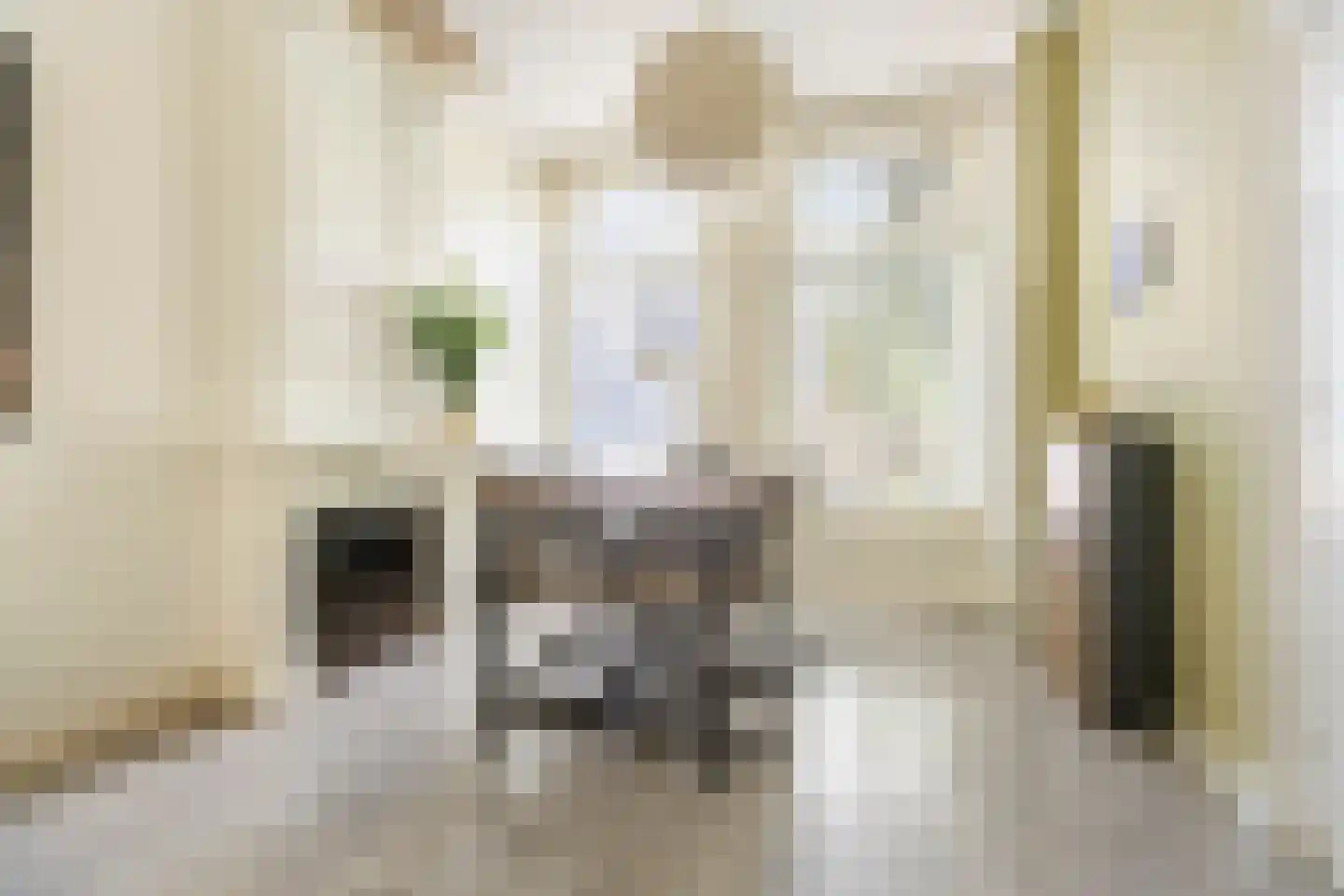 Radebinnensingel 19 Groningen thumbnail 12