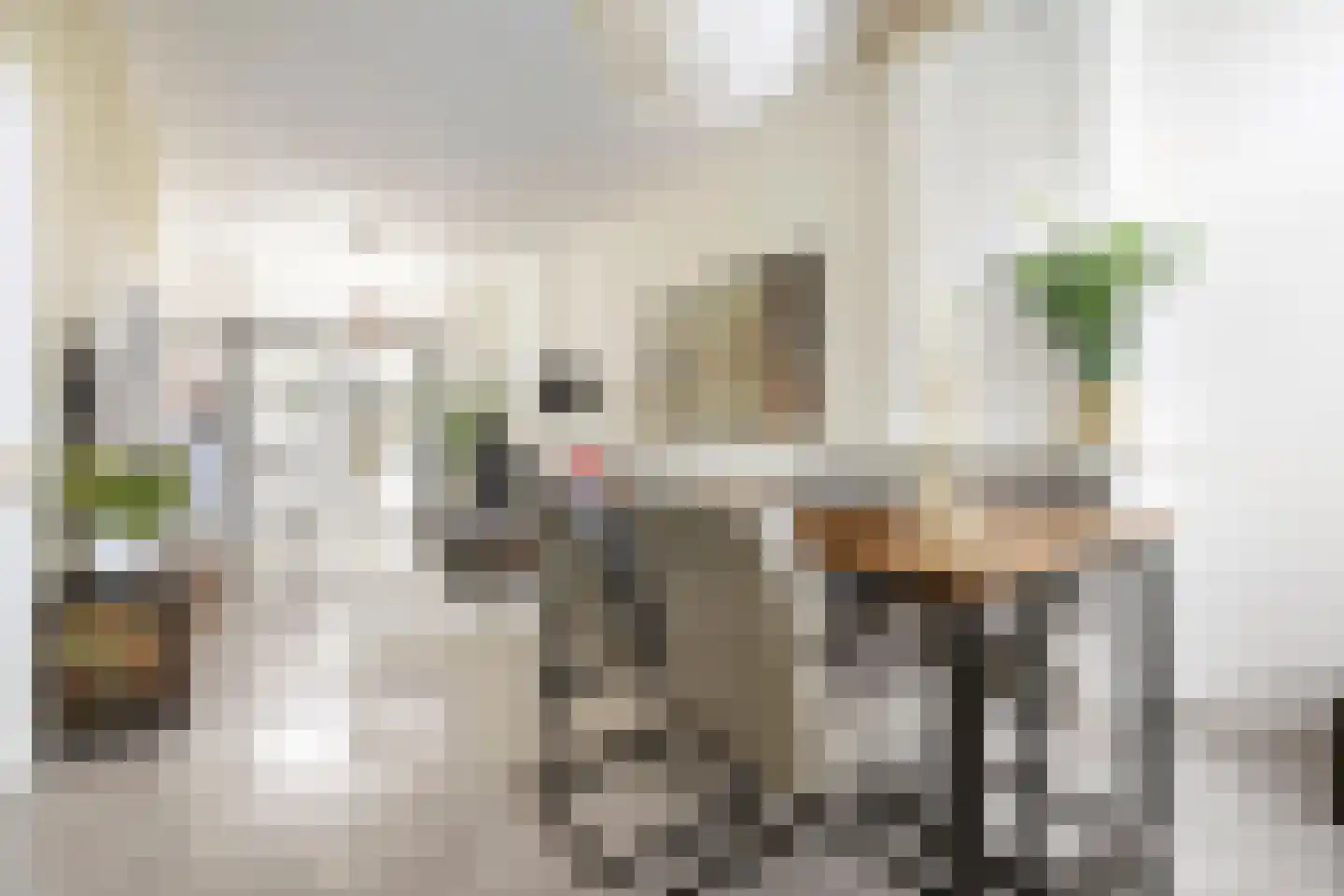 Radebinnensingel 19 Groningen thumbnail 15