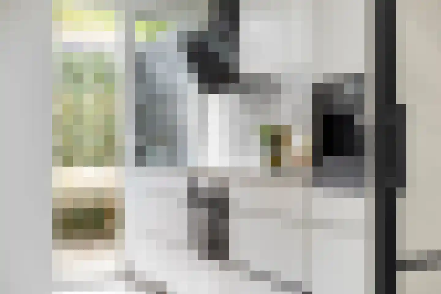 Radebinnensingel 19 Groningen thumbnail 19