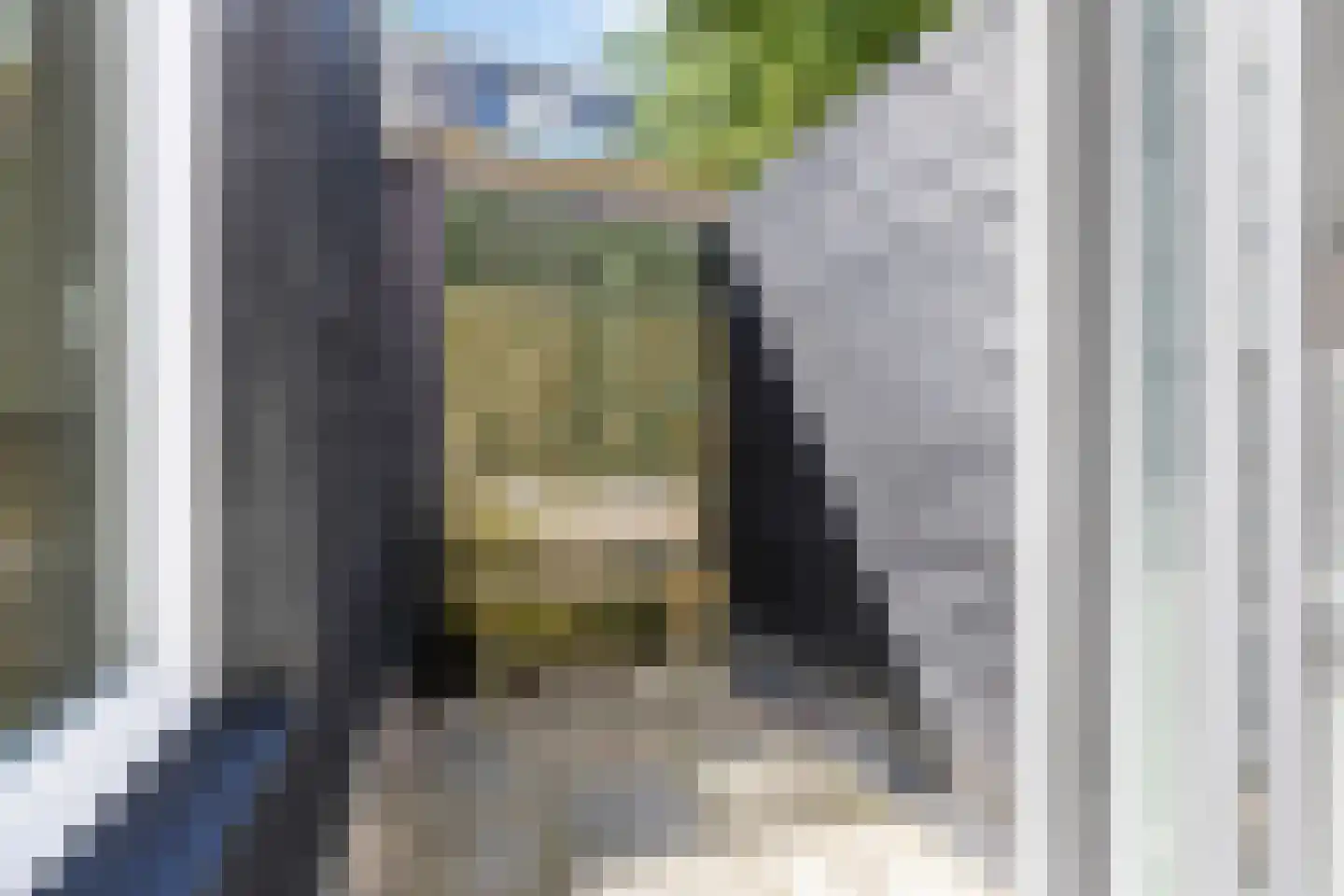 Radebinnensingel 19 Groningen thumbnail 21
