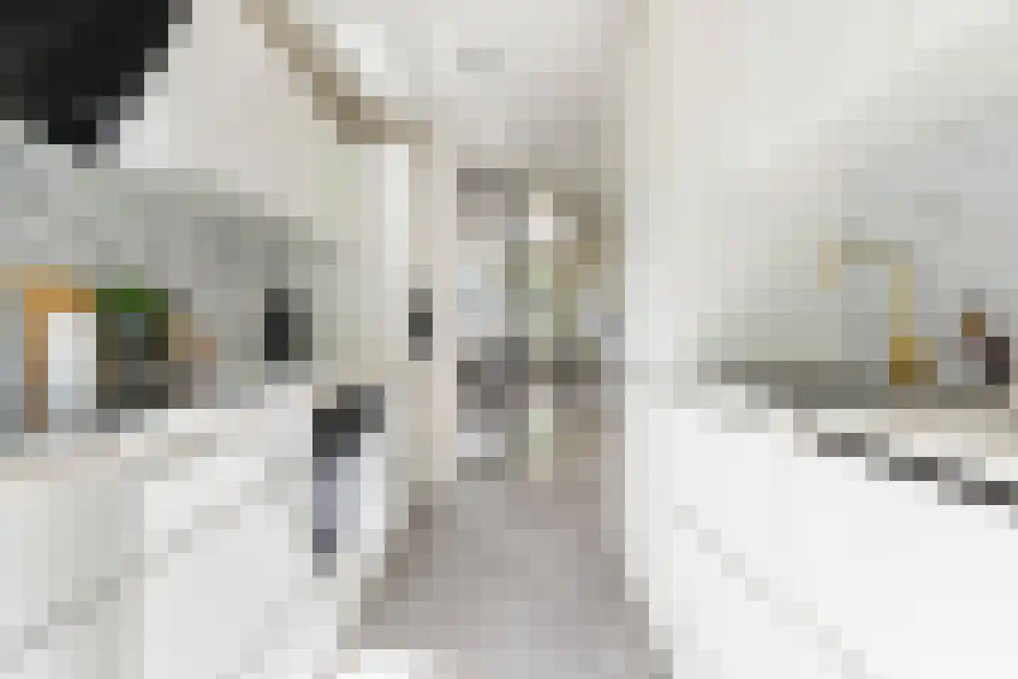 Radebinnensingel 19 Groningen thumbnail 22