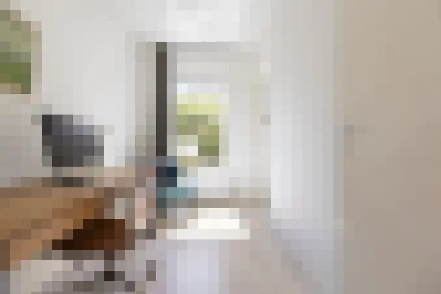 Radebinnensingel 19 Groningen thumbnail 35