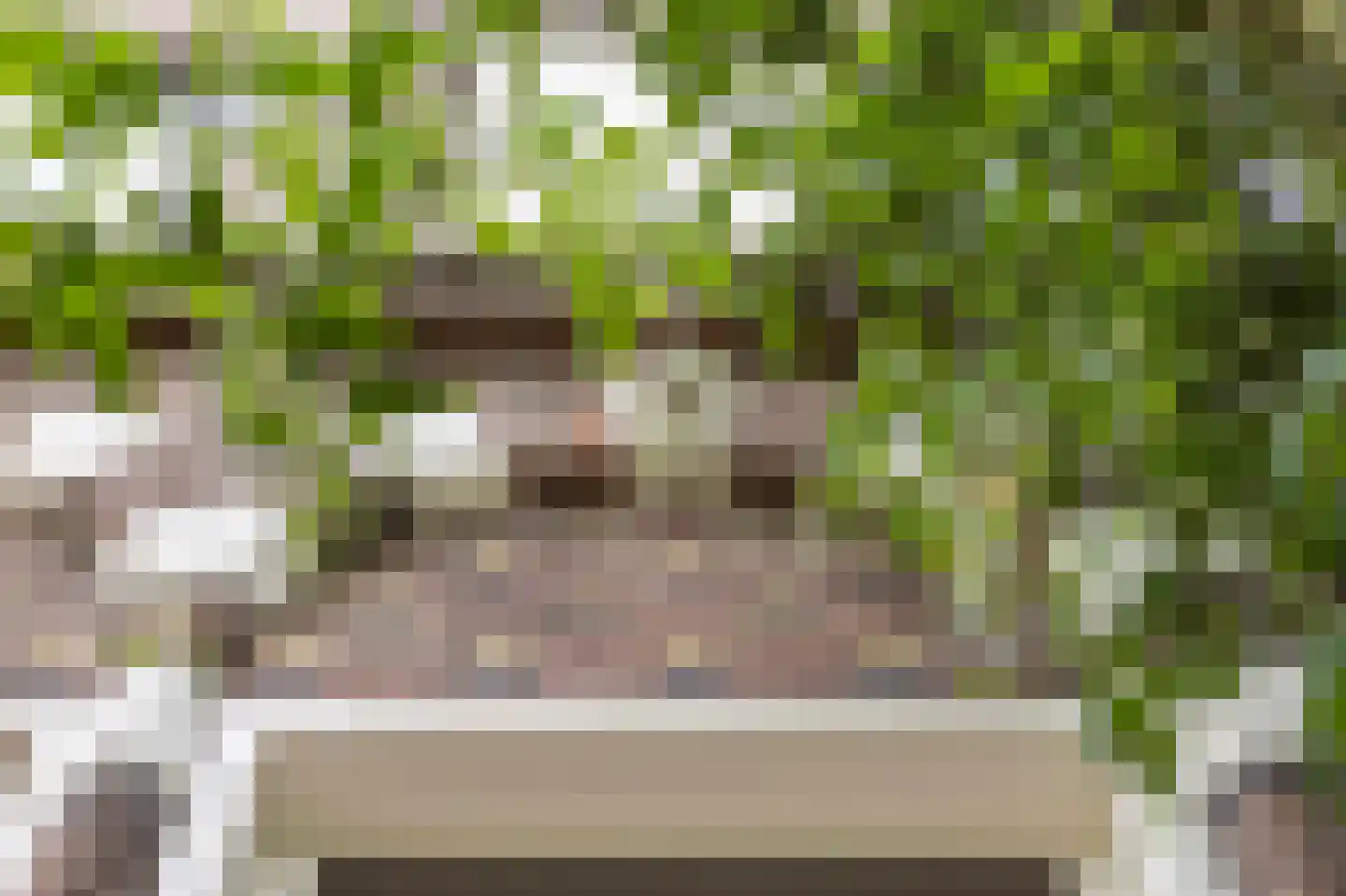 Radebinnensingel 19 Groningen thumbnail 9