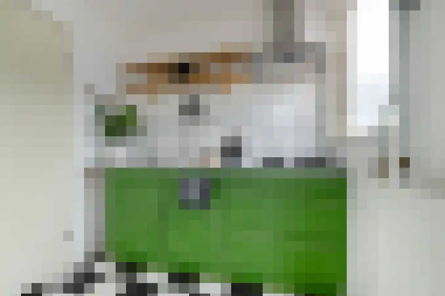 Radebinnensingel 29 Groningen thumbnail 10