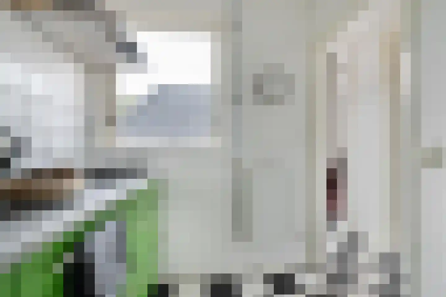 Radebinnensingel 29 Groningen thumbnail 19