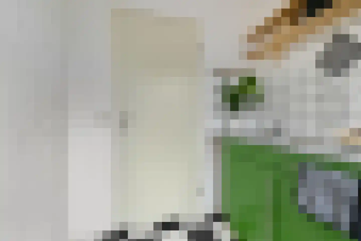 Radebinnensingel 29 Groningen thumbnail 20