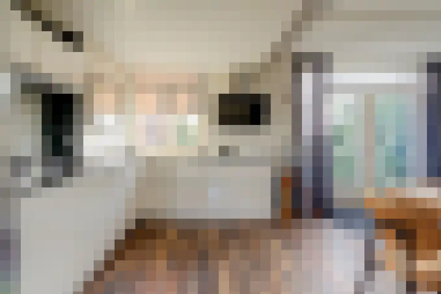 Rädeckerstraat 10 Elst thumbnail 11