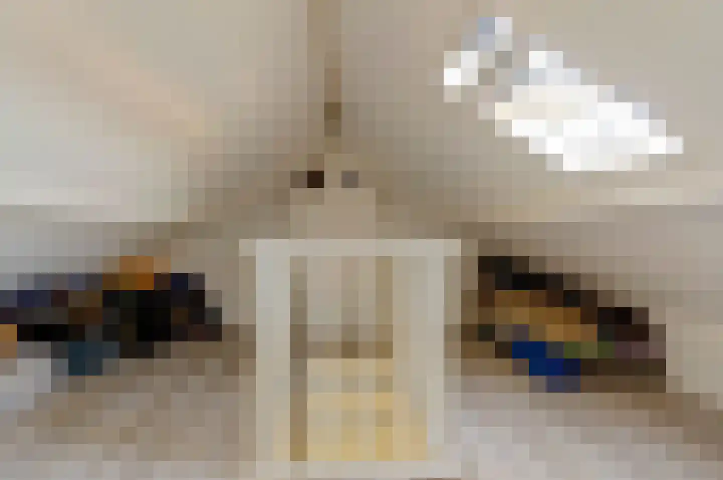Rädeckerstraat 10 Elst thumbnail 23