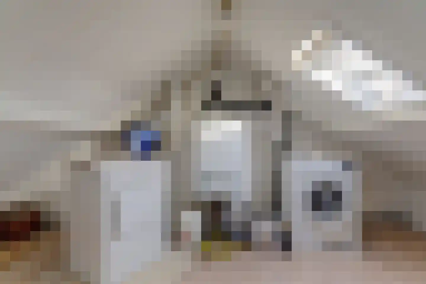 Rädeckerstraat 10 Elst thumbnail 24