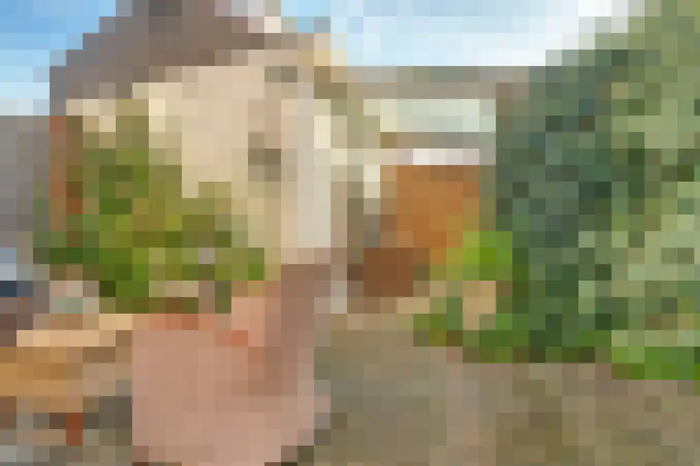 Rädeckerstraat 10 Elst thumbnail 27