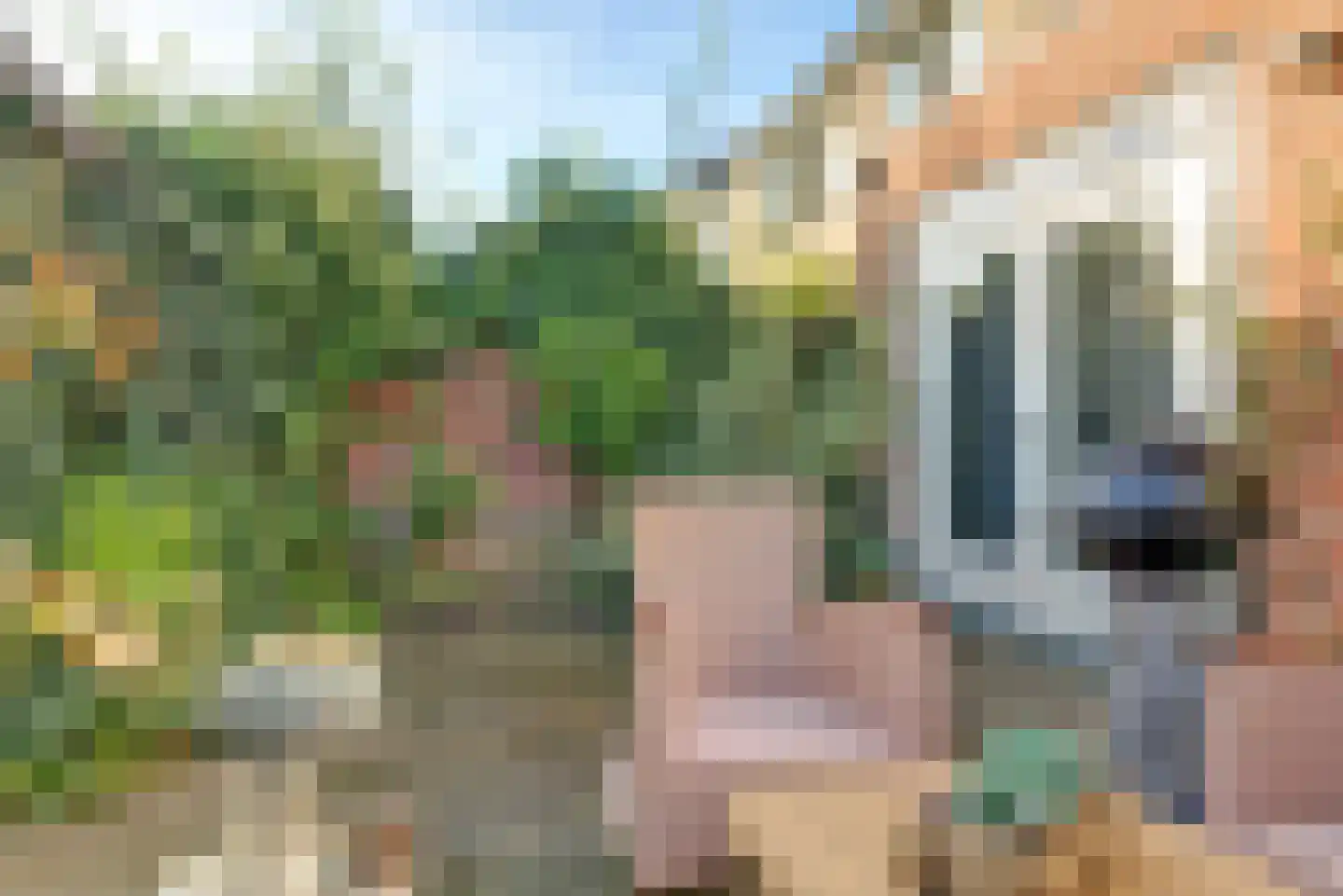 Rädeckerstraat 10 Elst thumbnail 28