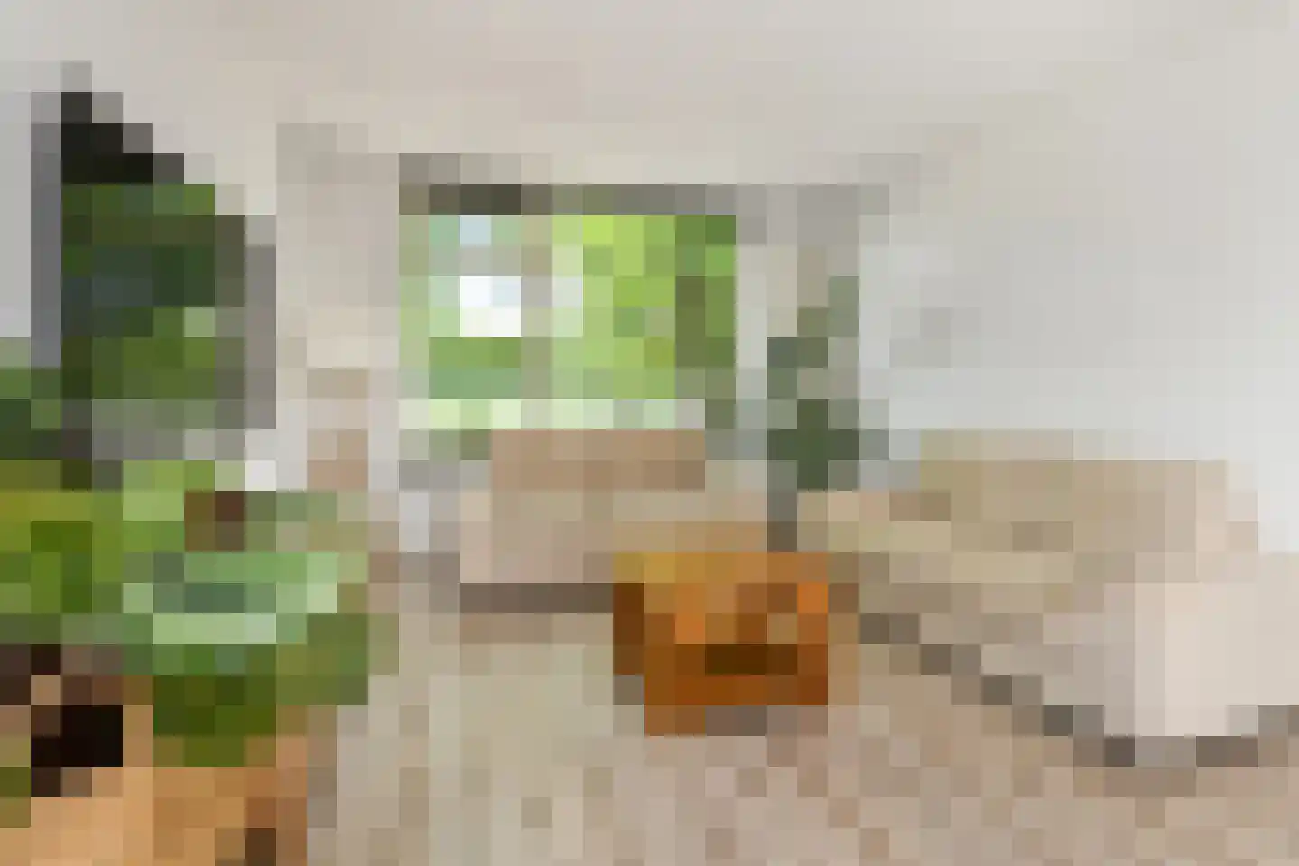 Rädeckerstraat 14 Elst thumbnail 10