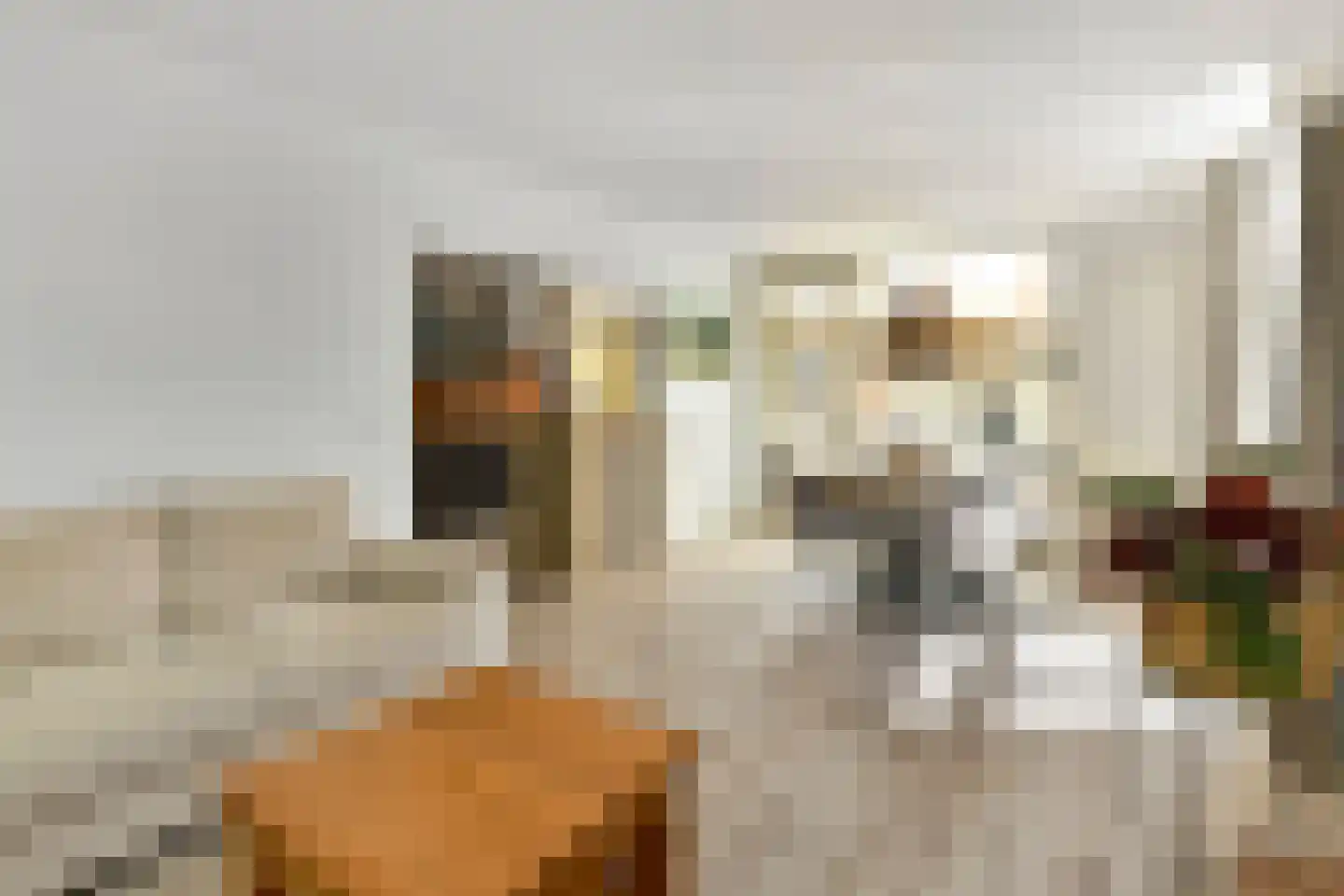 Rädeckerstraat 14 Elst thumbnail 11