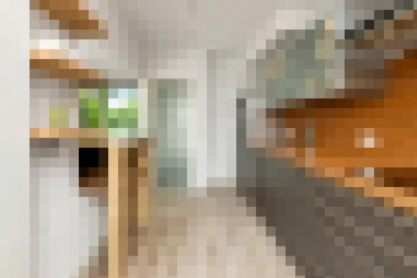 Rädeckerstraat 14 Elst thumbnail 20