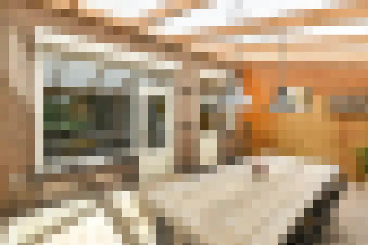 Rädeckerstraat 14 Elst thumbnail 23