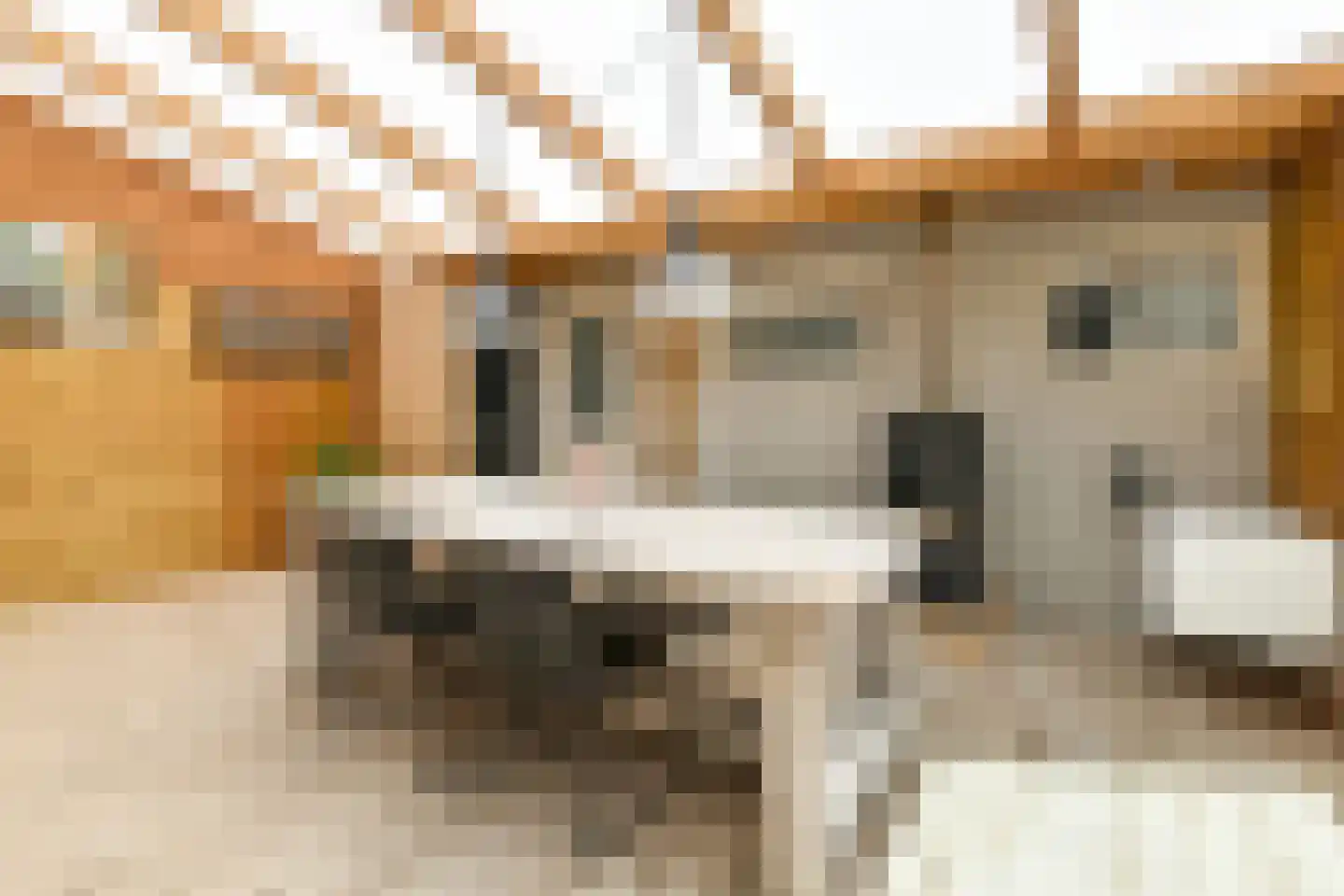 Rädeckerstraat 14 Elst thumbnail 24