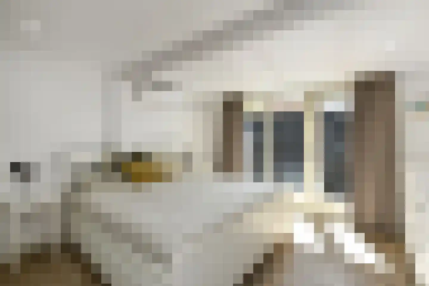 Rädeckerstraat 14 Elst thumbnail 26
