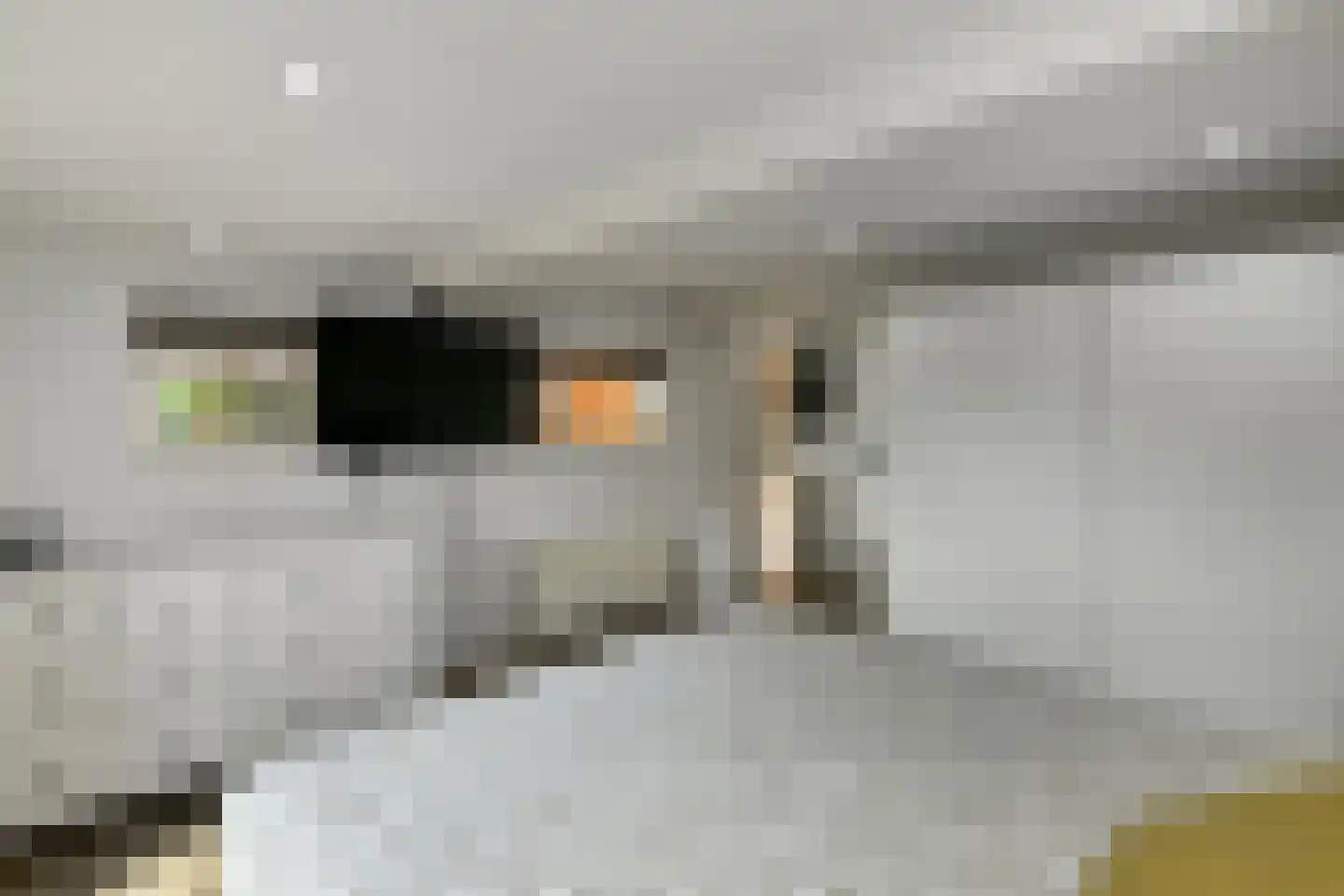 Rädeckerstraat 14 Elst thumbnail 27