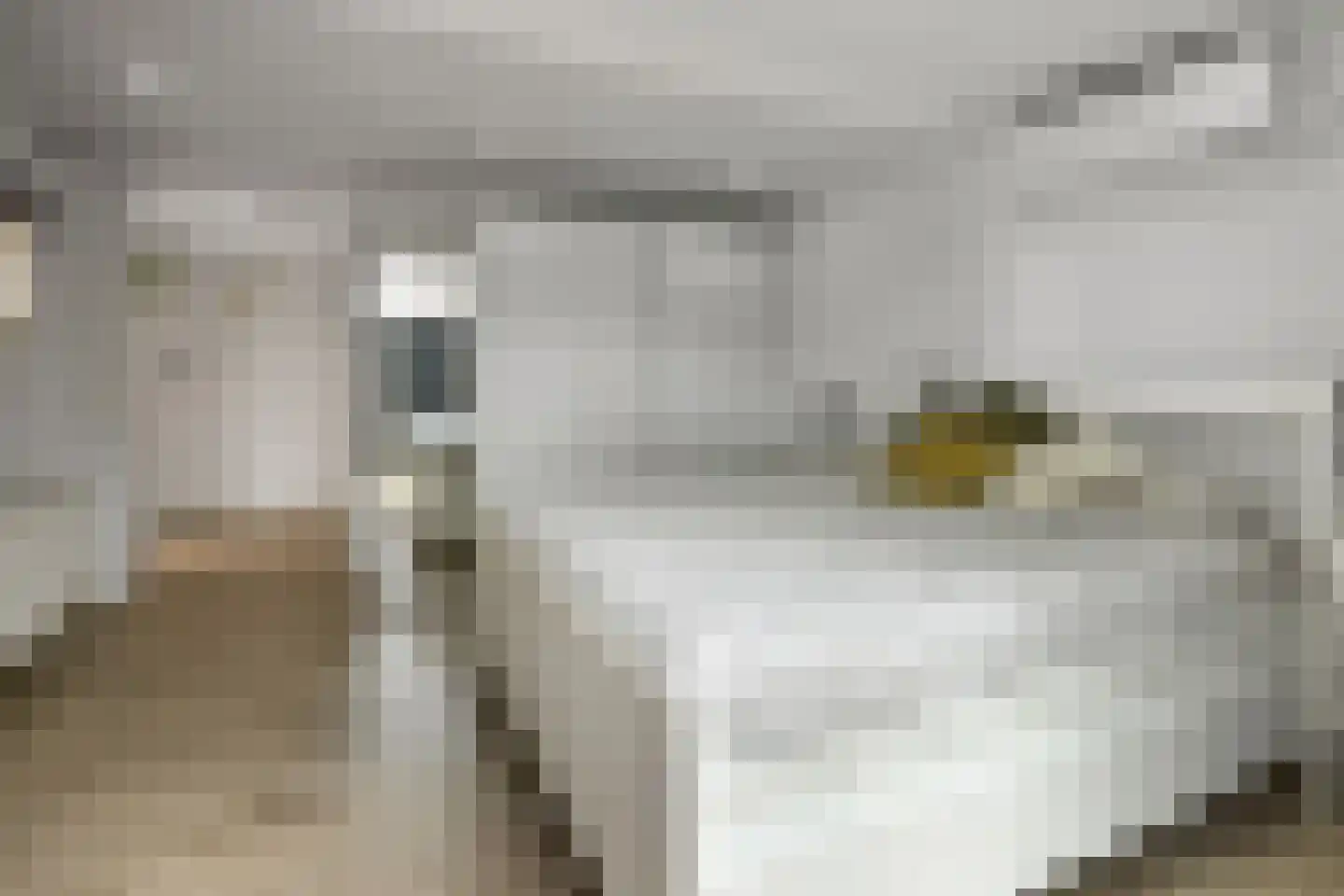 Rädeckerstraat 14 Elst thumbnail 28