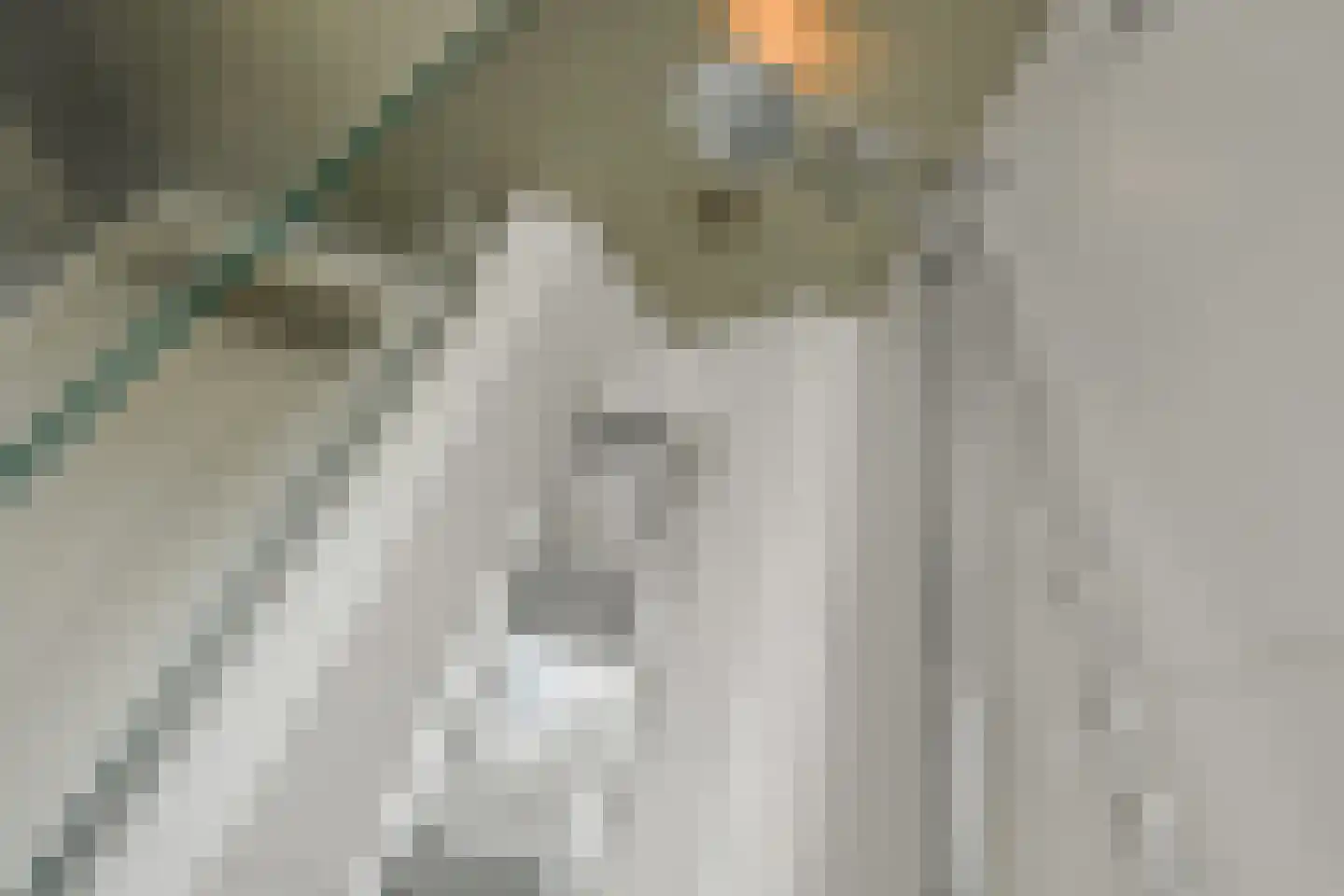 Rädeckerstraat 14 Elst thumbnail 38