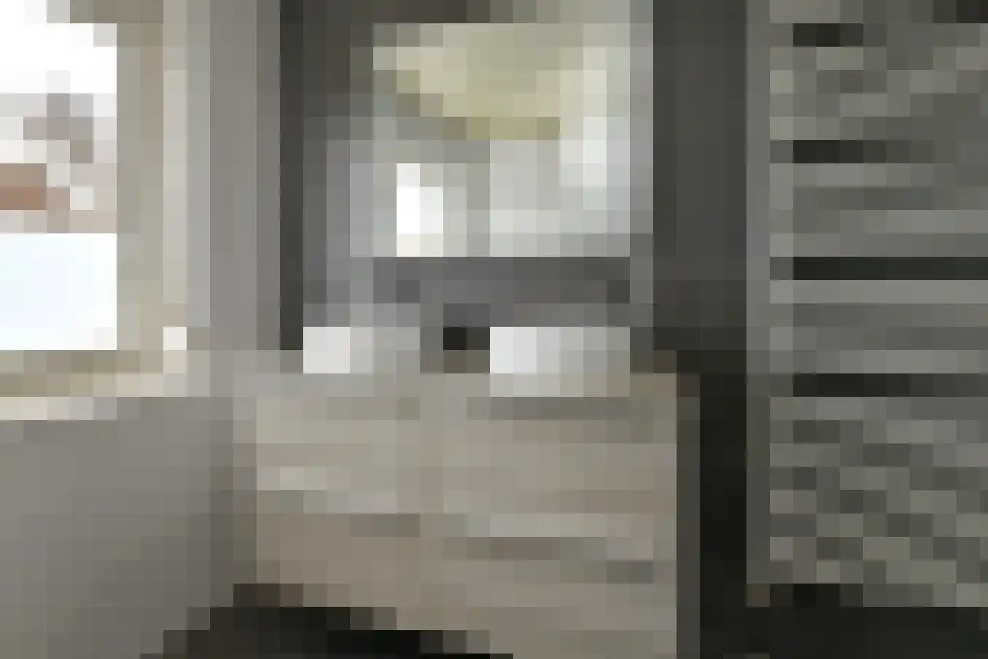 Rädeckerstraat 14 Elst thumbnail 39