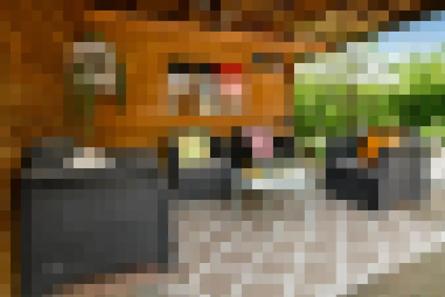 Rädeckerstraat 14 Elst thumbnail 49