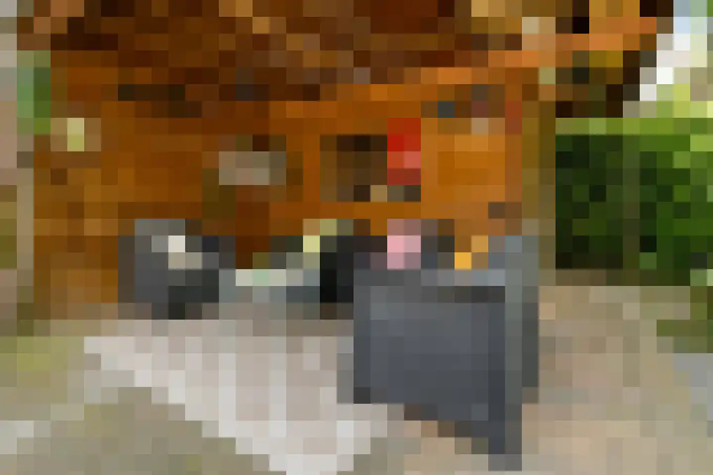 Rädeckerstraat 14 Elst thumbnail 50