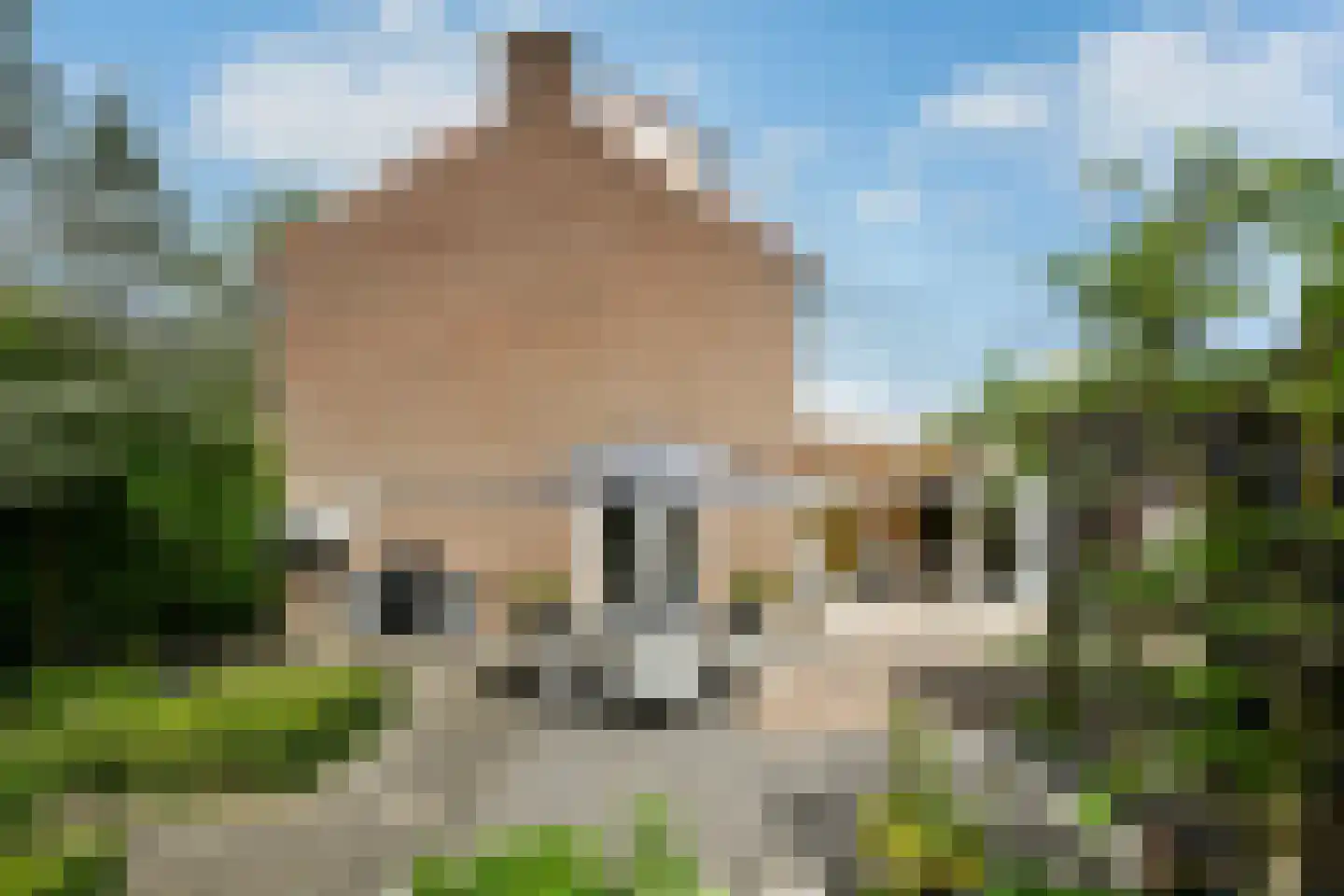 Rädeckerstraat 14 Elst thumbnail 51