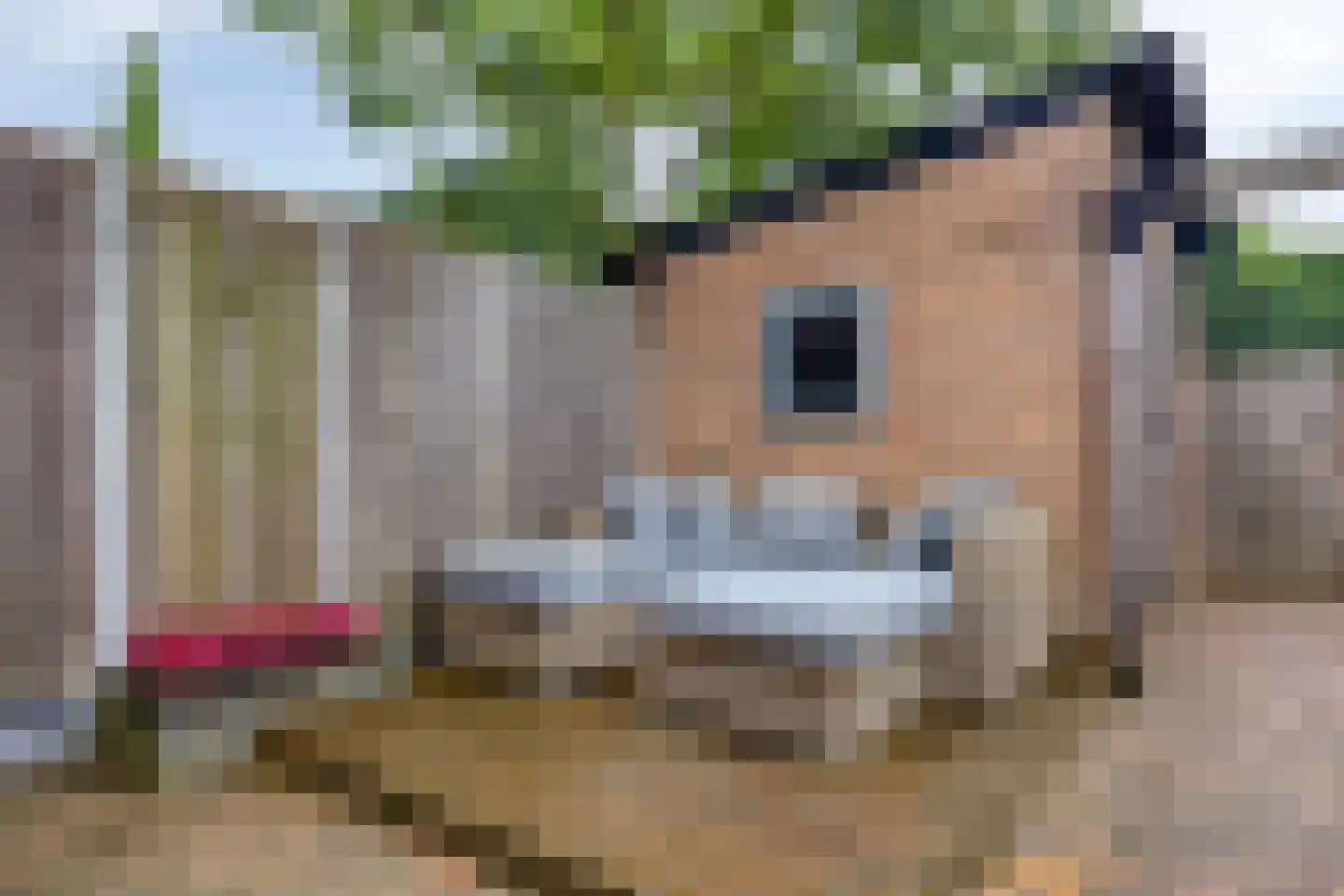 Rädeckerstraat 18 Elst thumbnail 26