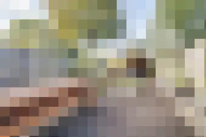 Rademakersdonk 715 Apeldoorn thumbnail 27