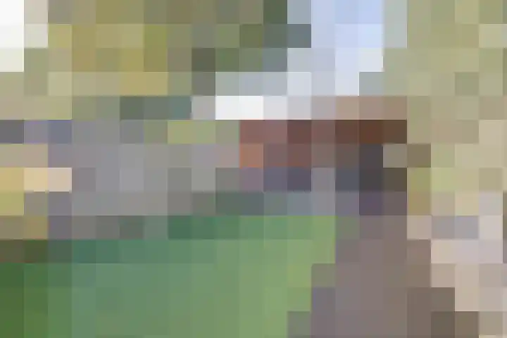 Rademakersdonk 715 Apeldoorn thumbnail 29