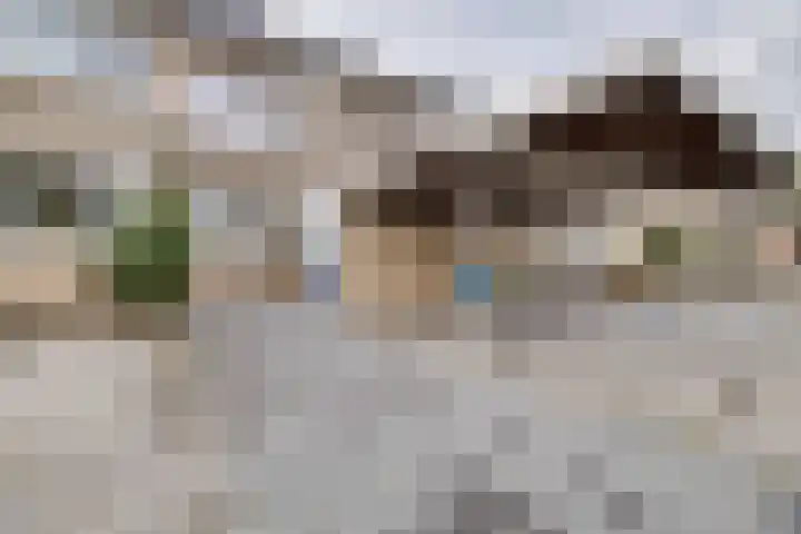 Rademakersdonk 715 Apeldoorn thumbnail 31