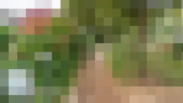 Rademakersdonk 715 Apeldoorn thumbnail 35