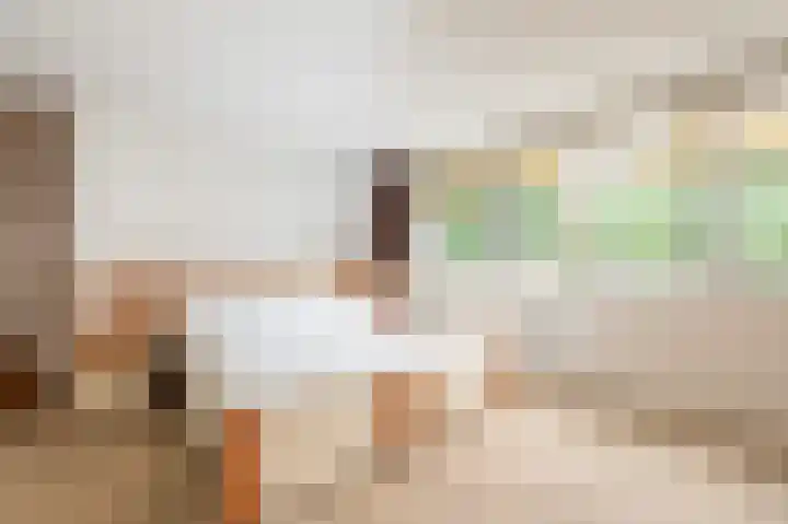 Rademakersdonk 719 Apeldoorn thumbnail 13