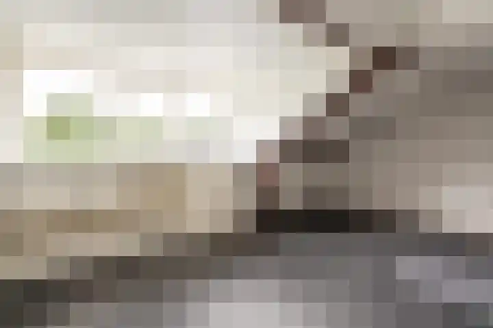 Rademakersdonk 719 Apeldoorn thumbnail 16