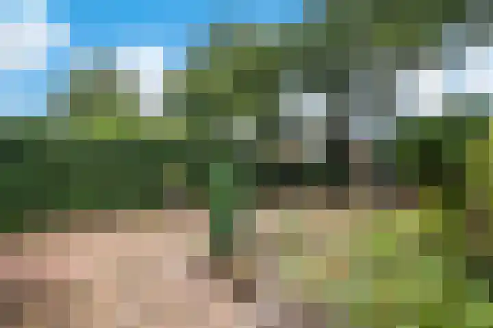 Rademakersdonk 719 Apeldoorn thumbnail 24