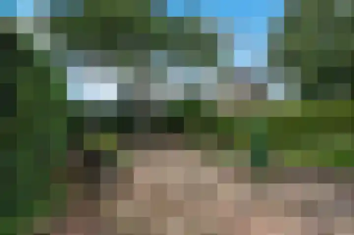 Rademakersdonk 719 Apeldoorn thumbnail 25