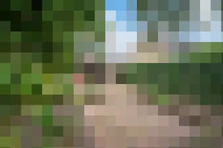 Rademakersdonk 719 Apeldoorn thumbnail 26