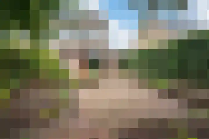 Rademakersdonk 719 Apeldoorn thumbnail 27